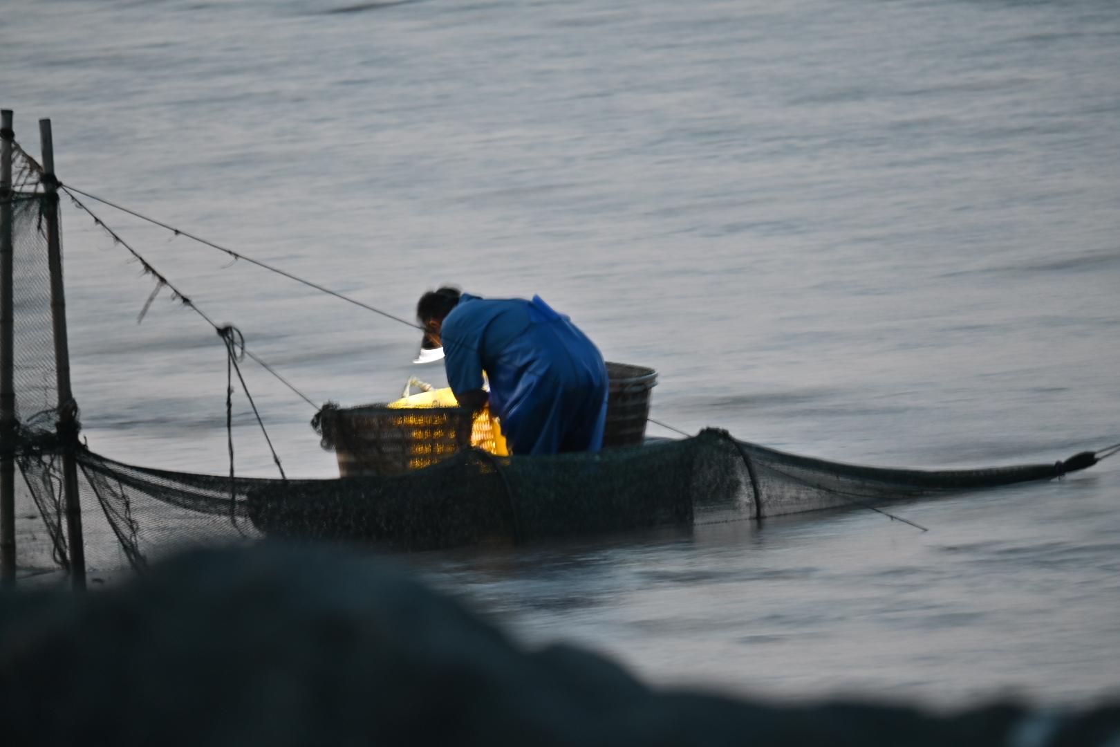 The old man collecting his catch