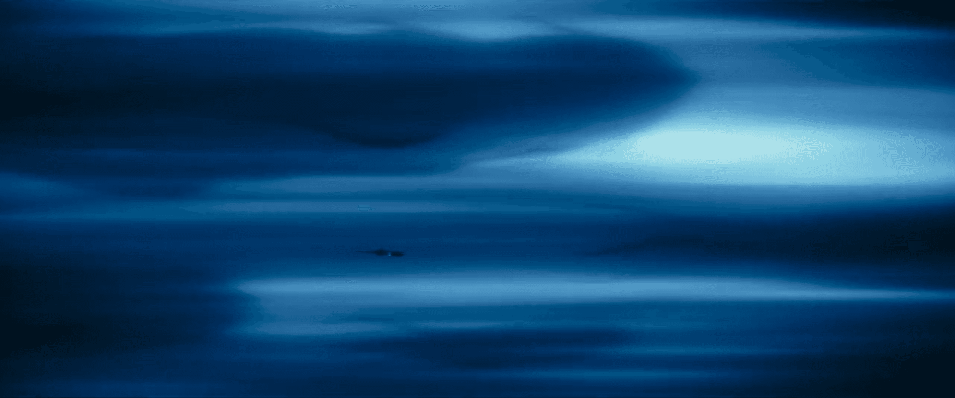 Whale, blue, desolation, sense of loneliness